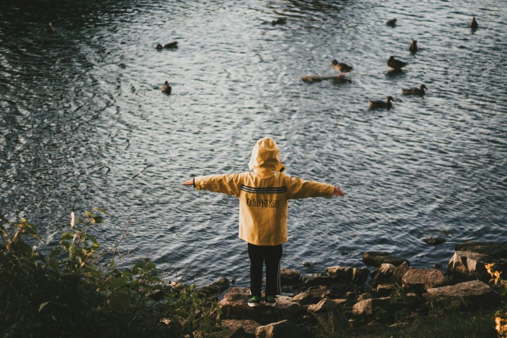 Niño de pie al aire libre contemplando un lago lleno de patos. Child standing outside overlooking a lake filled with ducks.