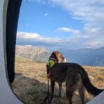 PXL_20250718_133012125